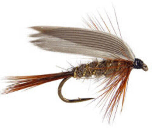 Best Wet Flies